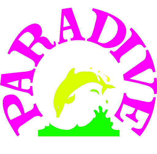 Paradive International Limited